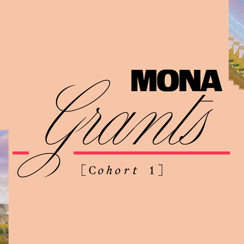 Mona Grants Program Cohort 1: A Recap